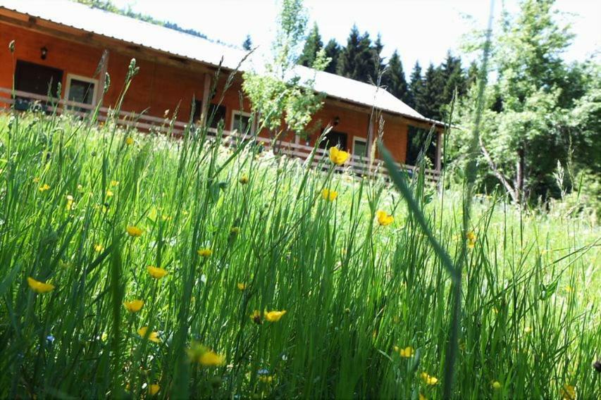 Cottage Shgedi Mestia Exterior photo